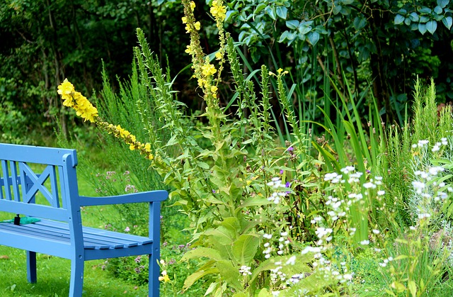 favoriser environnement avec jardin