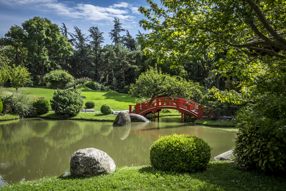 Jardin japonais