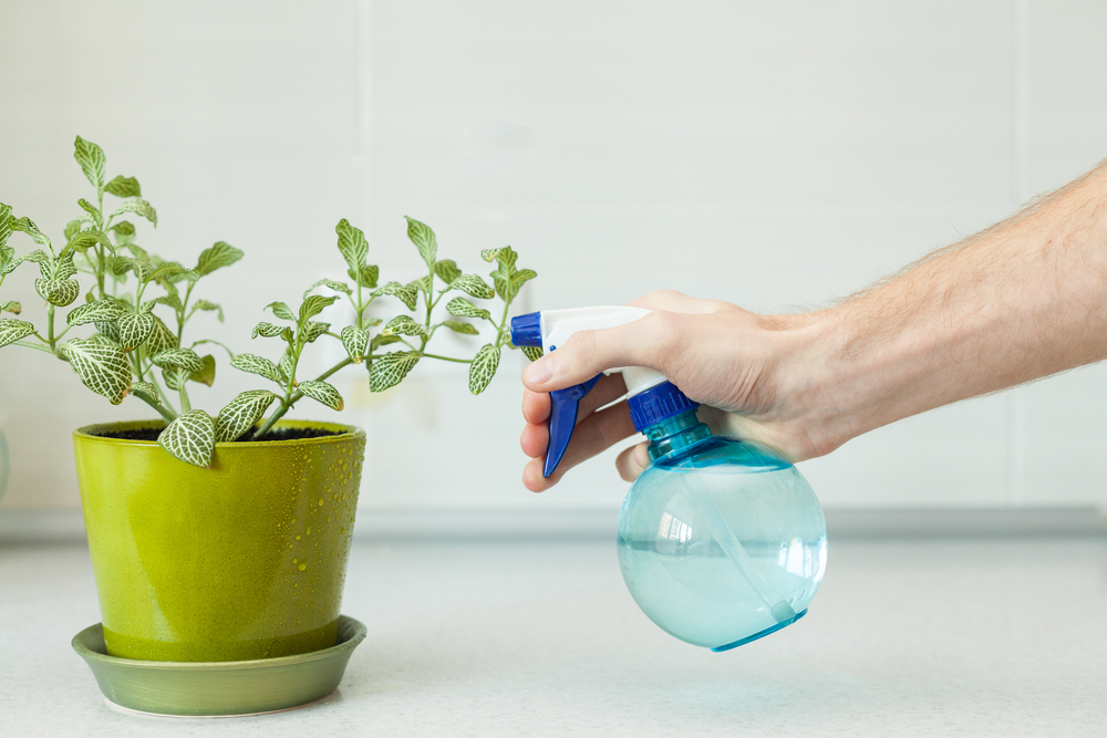 Vaporiser maison jardin d'intérieur