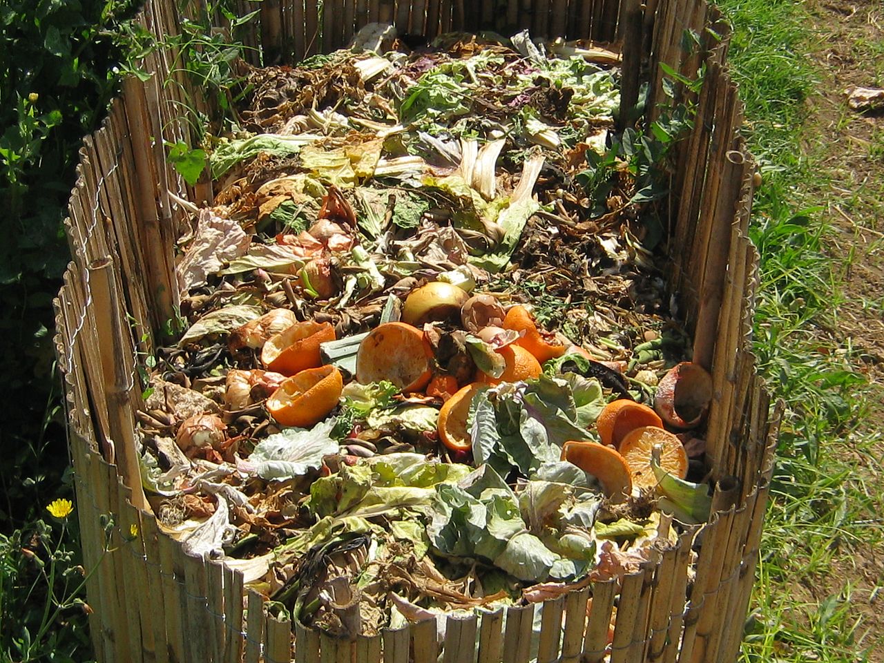 compost