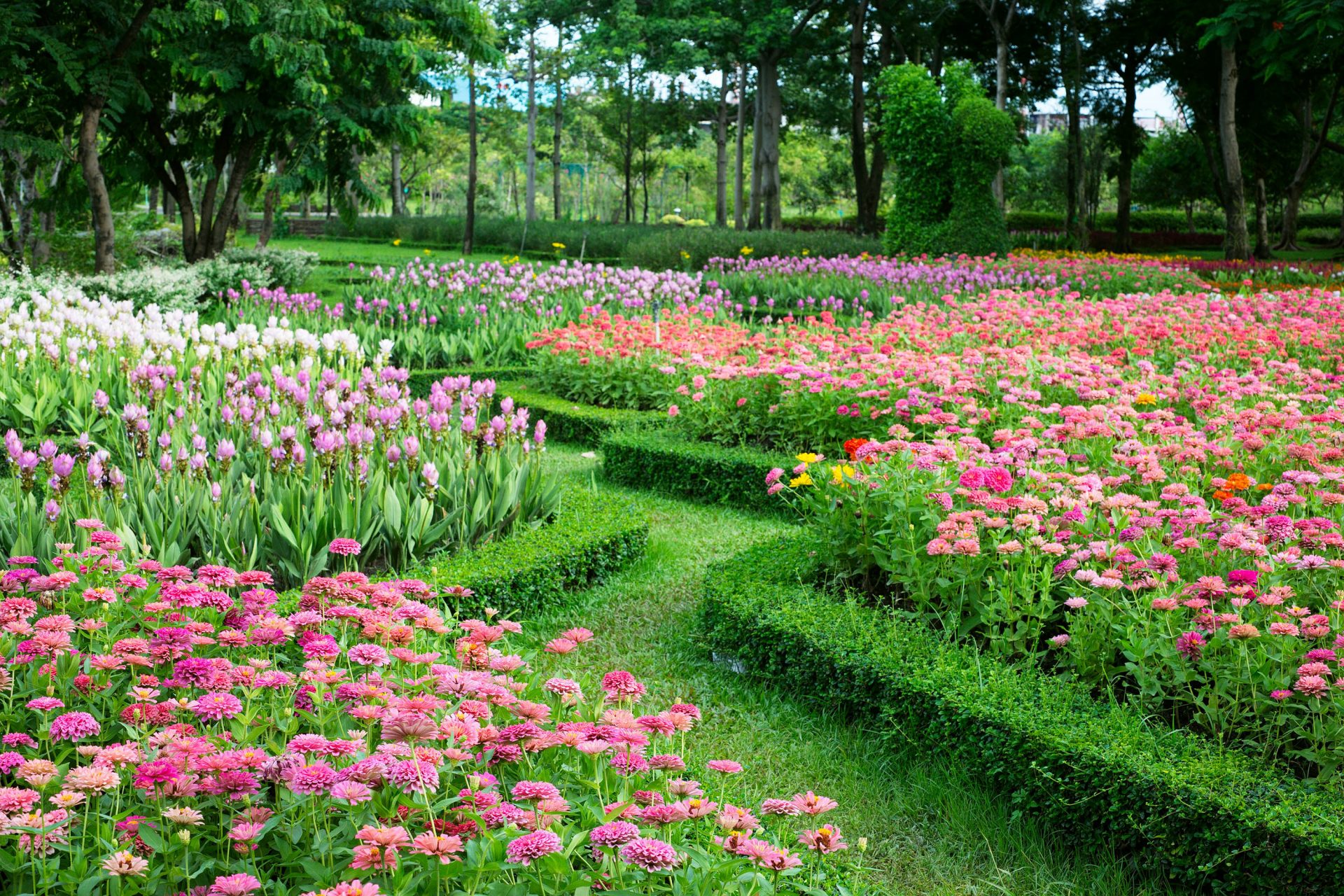 entretien jardin été