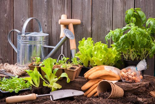 Top 5 outils jardin paysagistes
